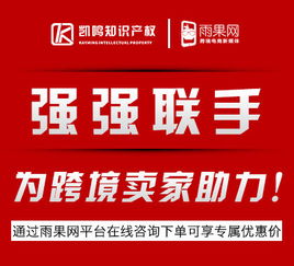 中国商标申请注册全攻略 流程、费用与专业代理服务解析